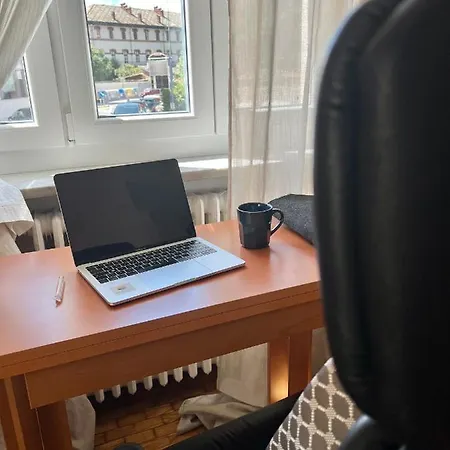 Pine Art House - Relax Creativo