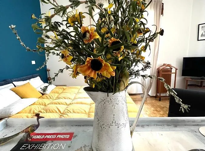 Pine Art House - Relax Creativo *